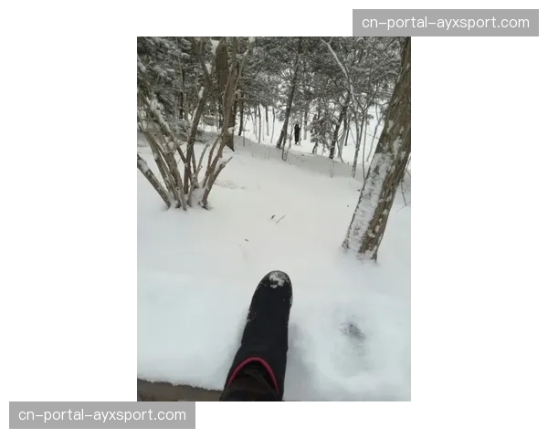 特写:双城队教练在明尼苏达大雪中指导球员进行室内适应性训练 特写:双城队教练在明尼苏达大雪中指导球员进行室内适应性训练